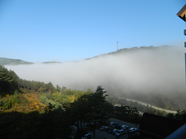 Туман в долине